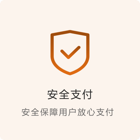 安全支付